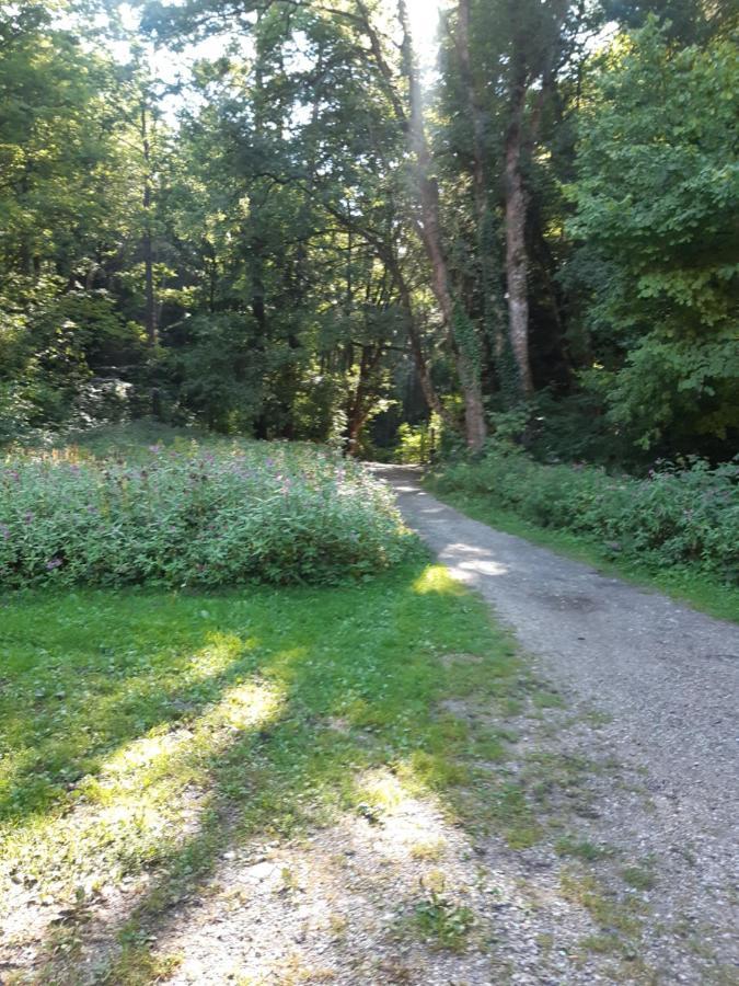 Schutzhaus Johannesbachklamm Unterhoflein Bagian luar foto